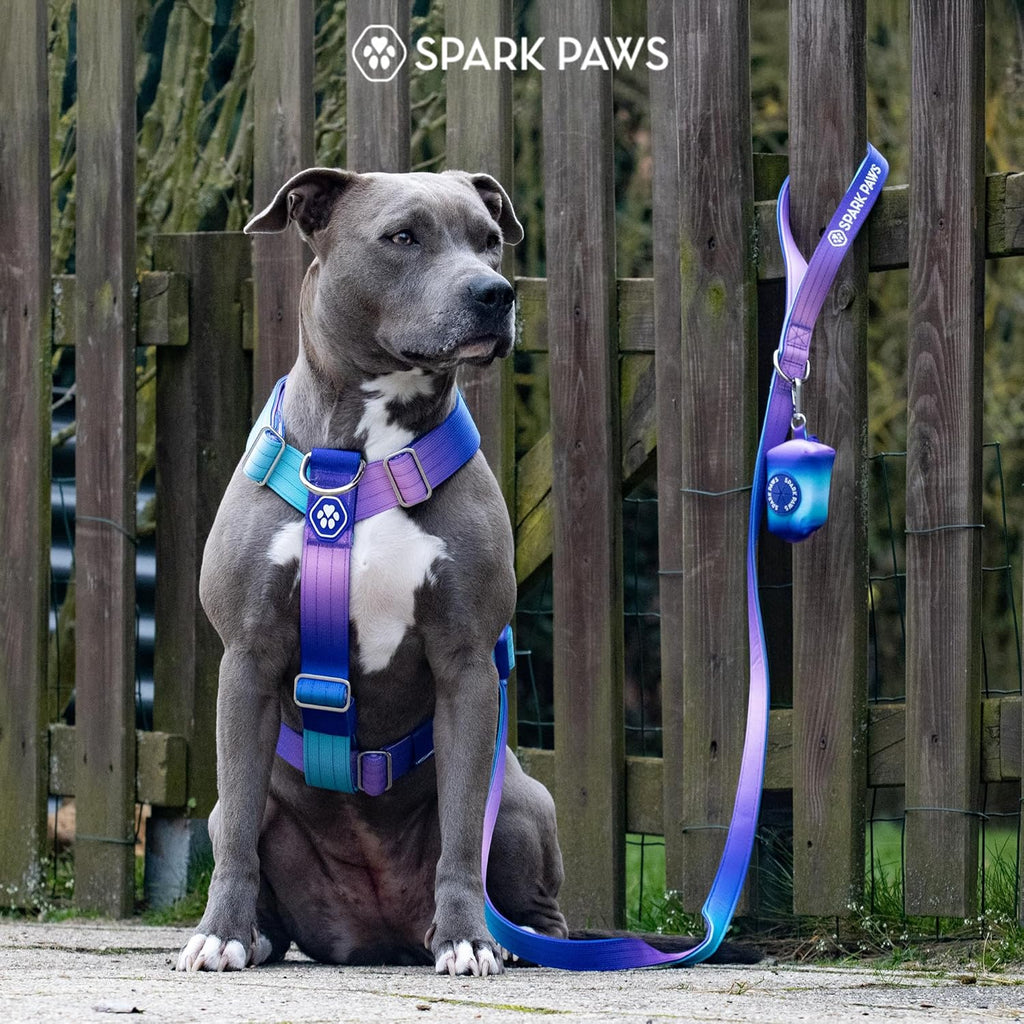 Spark Paws No Pull Dog Harness with Handle for Large Dogs, Heavy Duty Dog Harness for Big Strong Breeds, Adjustable, Y Shaped Padded Halter Design with Front Clip - 90s Retro - M - Image 9
