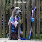 Spark Paws No Pull Dog Harness with Handle for Large Dogs, Heavy Duty Dog Harness for Big Strong Breeds, Adjustable, Y Shaped Padded Halter Design with Front Clip - 90s Retro - M - Image 9