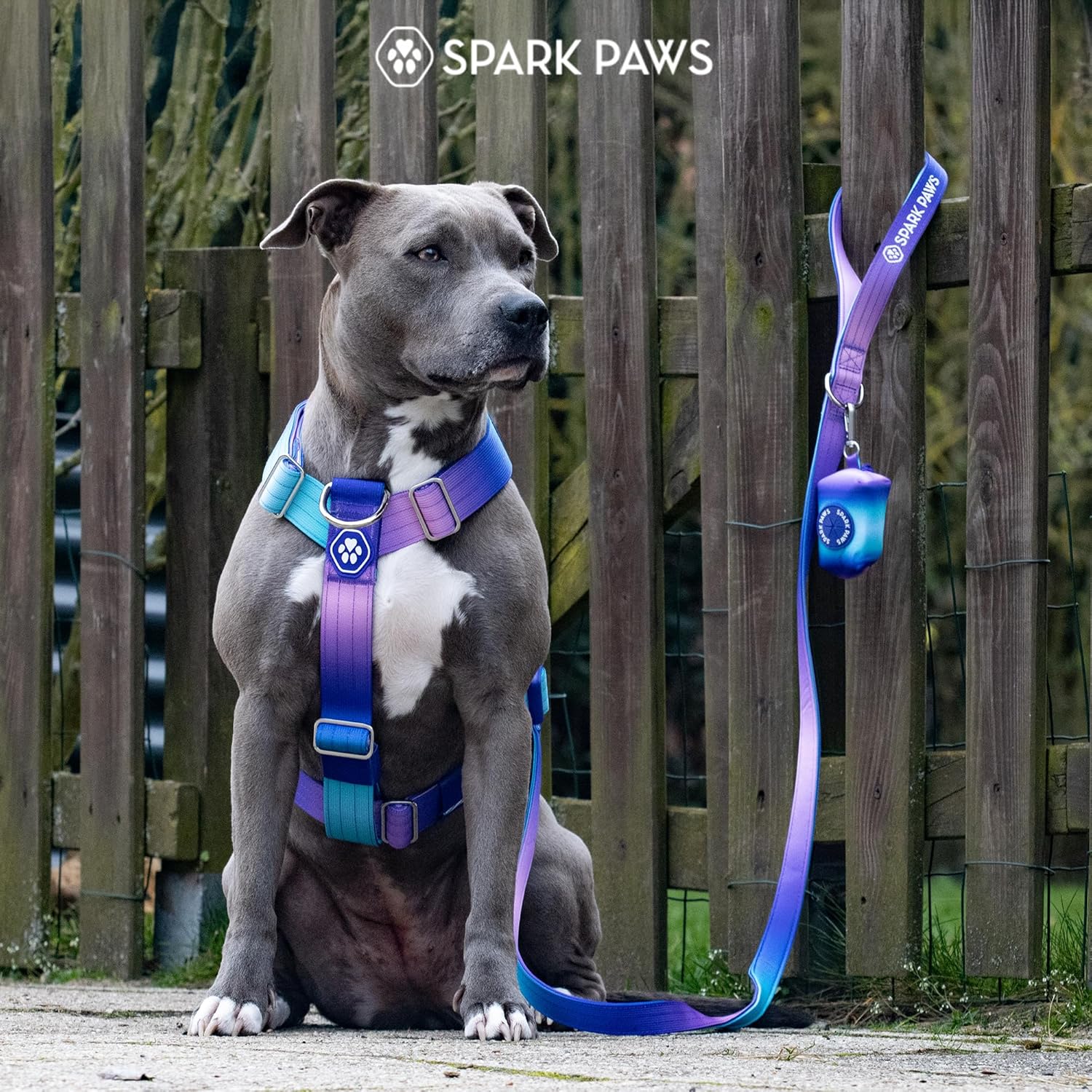 Spark Paws No Pull Dog Harness with Handle for Large Dogs, Heavy Duty Dog Harness for Big Strong Breeds, Adjustable, Y Shaped Padded Halter Design with Front Clip - 90s Retro - M - Image 9