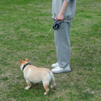 Pina upgraded retractable dog leash packaging for small medium large dogs