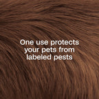 Concentrated flea dip for dogs and cats