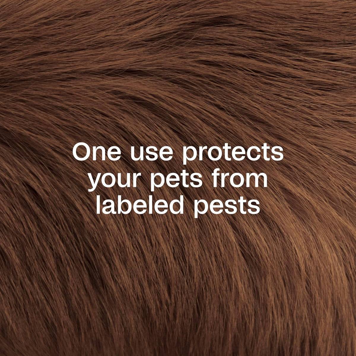 Concentrated flea dip for dogs and cats