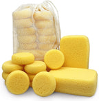 Constantia Pets Equus leather care synthetic sponges front view packaging