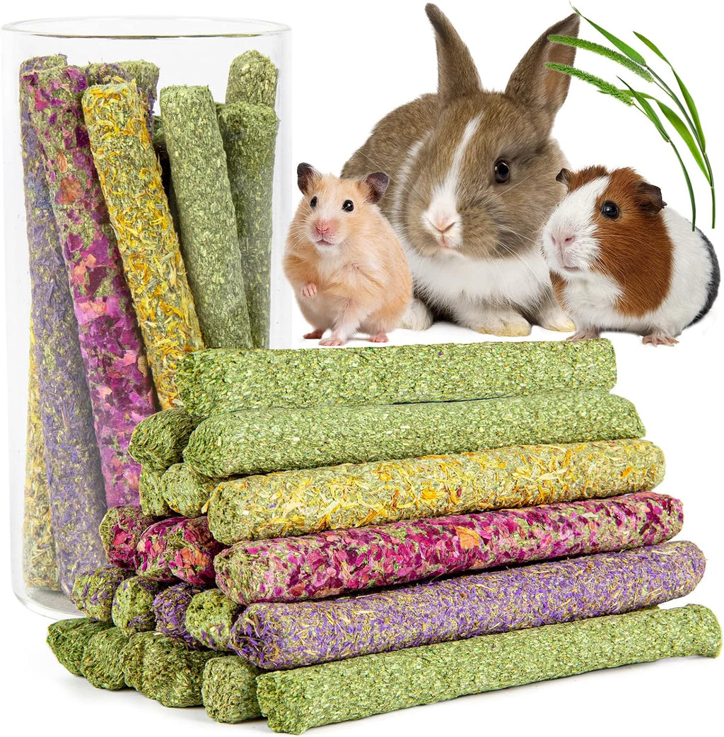 Healthy high fiber pet snacks lifestyle