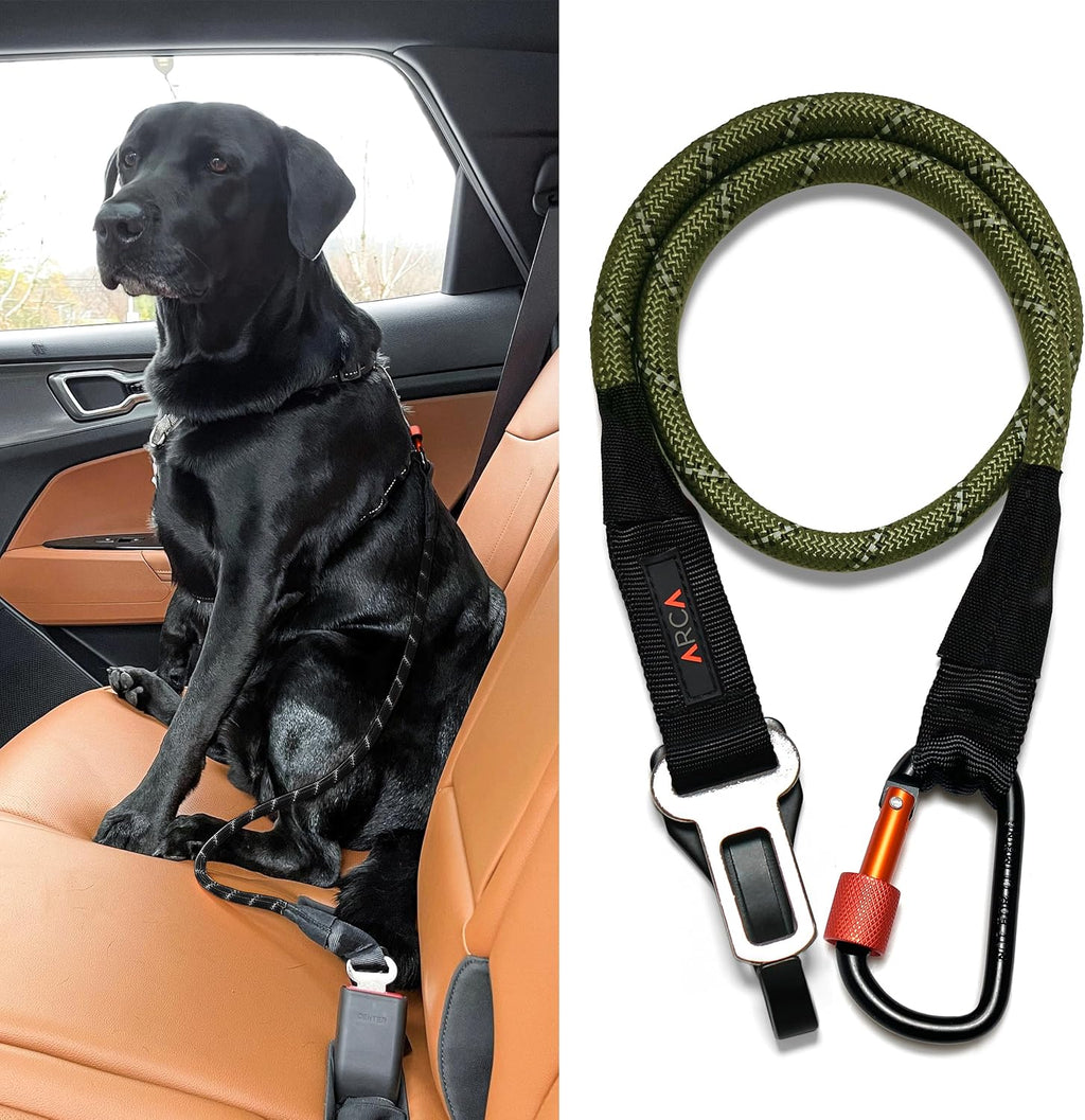 Arca Pet universal dog seat belt front view with green rope