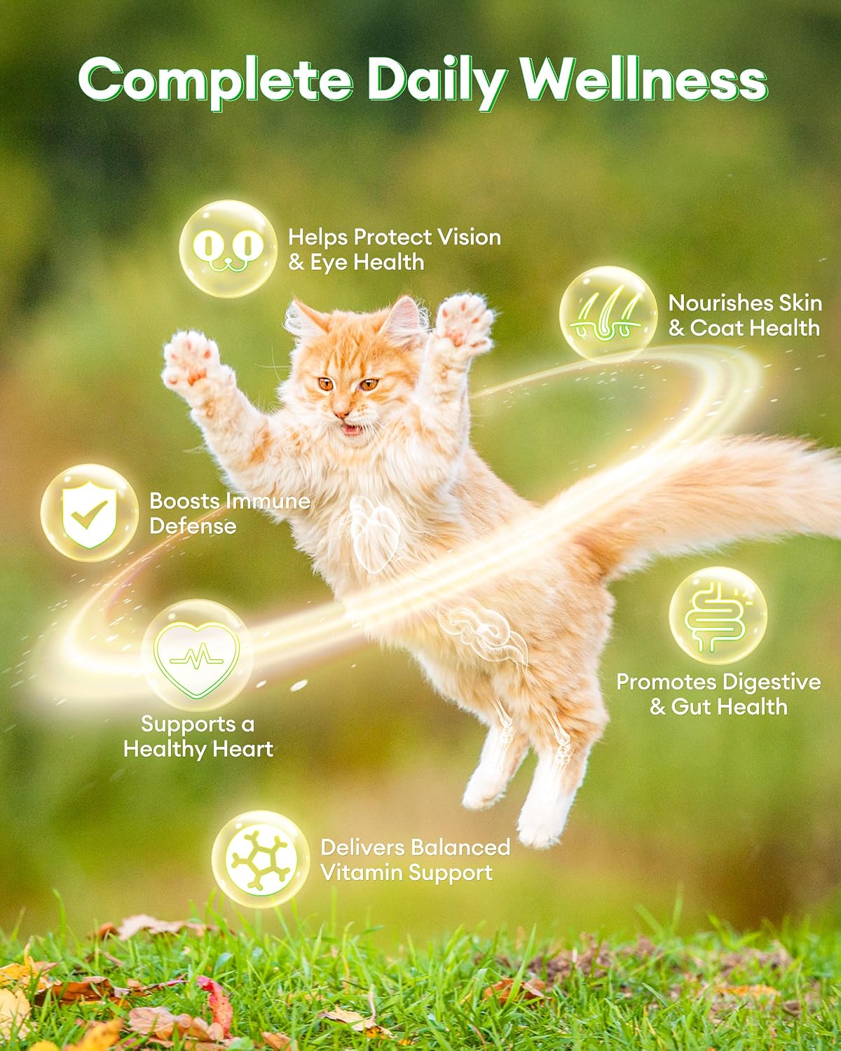 Pawaura crunchy and creamy cat vitamin chews showing the dual-texture design
