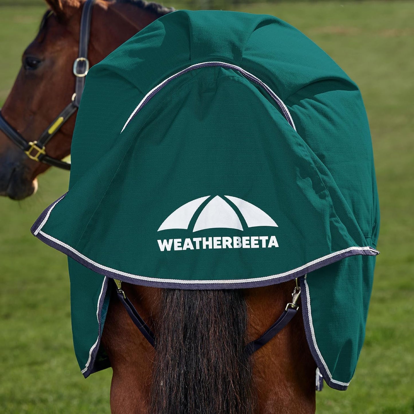 WeatherBeeta ComFiTec Plus Dynamic zero gram insulation turnout rug highlighting the reflective safety binding details.