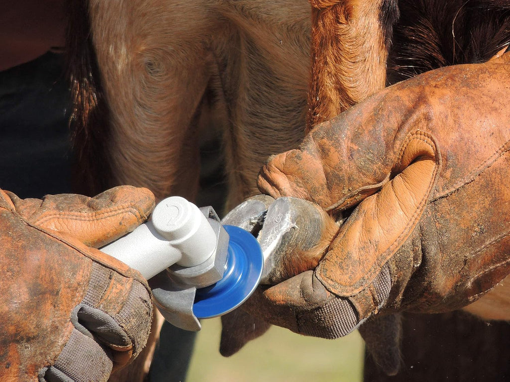 Hoof Boss professional goat hoof trimmer kit being used for routine herd maintenance.