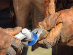 Hoof Boss professional goat hoof trimmer kit being used for routine herd maintenance.