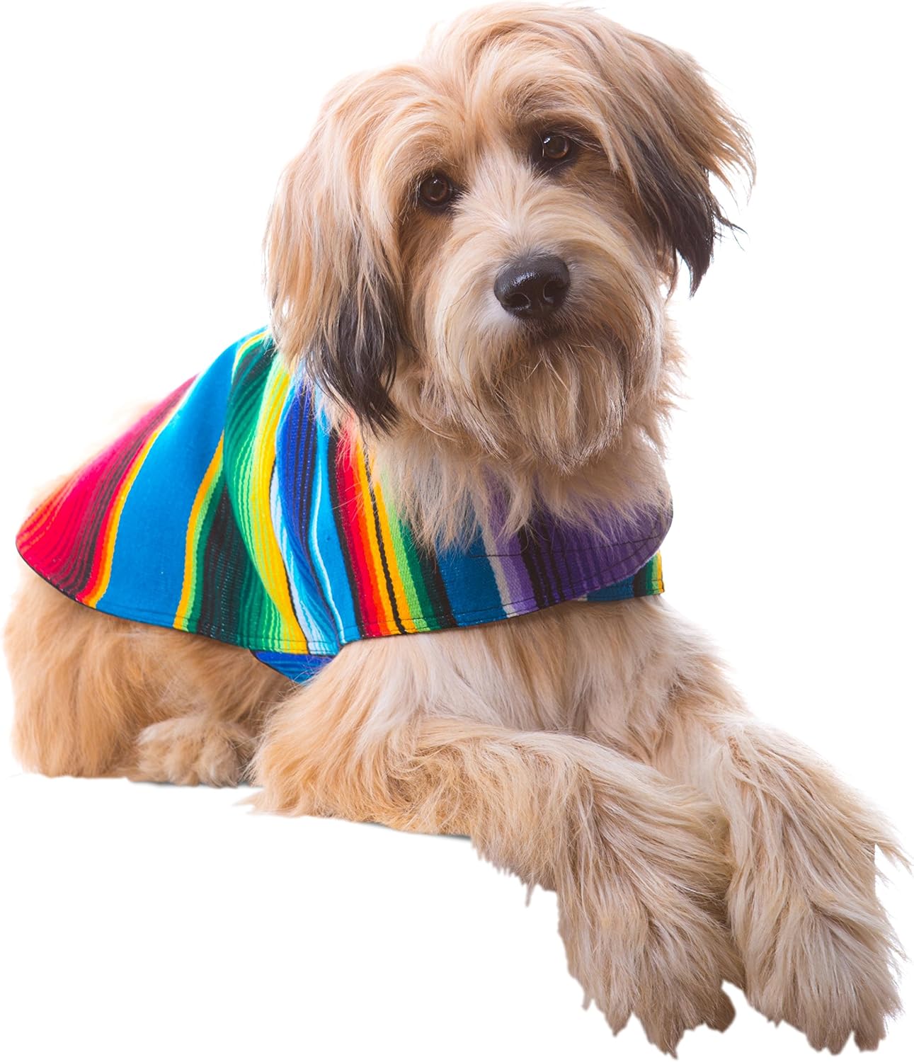 Dog Clothes - Handmade Dog Poncho from Authentic Mexican Blanket by Baja Ponchos (Blue, Small) - Image 13