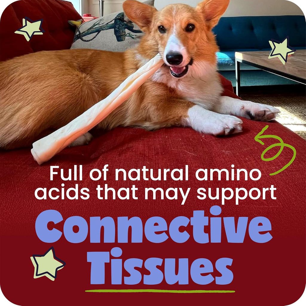 Back of Pawstruck beef collagen packaging showing nutritional benefits