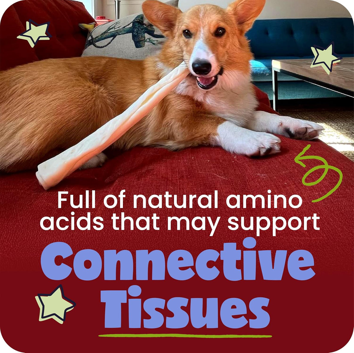 Back of Pawstruck beef collagen packaging showing nutritional benefits