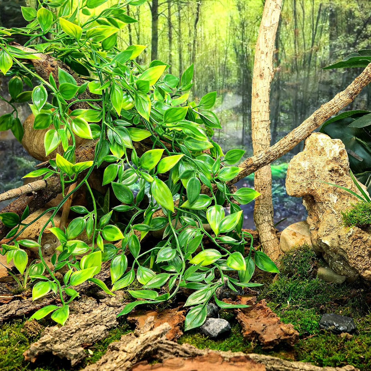 Bearded dragon inside enclosure with Hercocci hanging plants