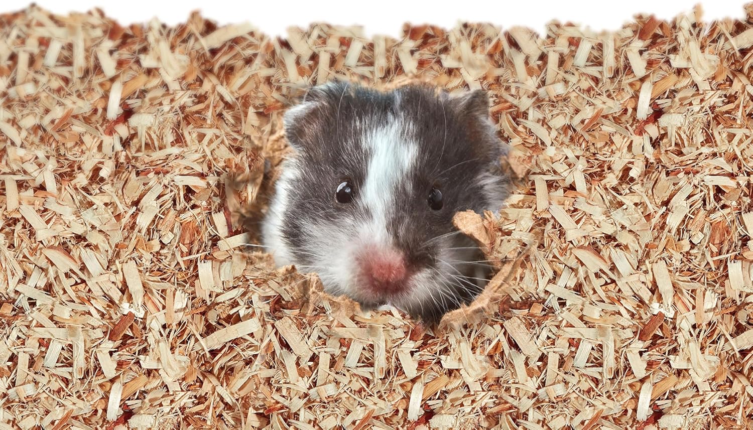 Close up of natural aspen wood shavings for small pets