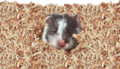 Close up of natural aspen wood shavings for small pets