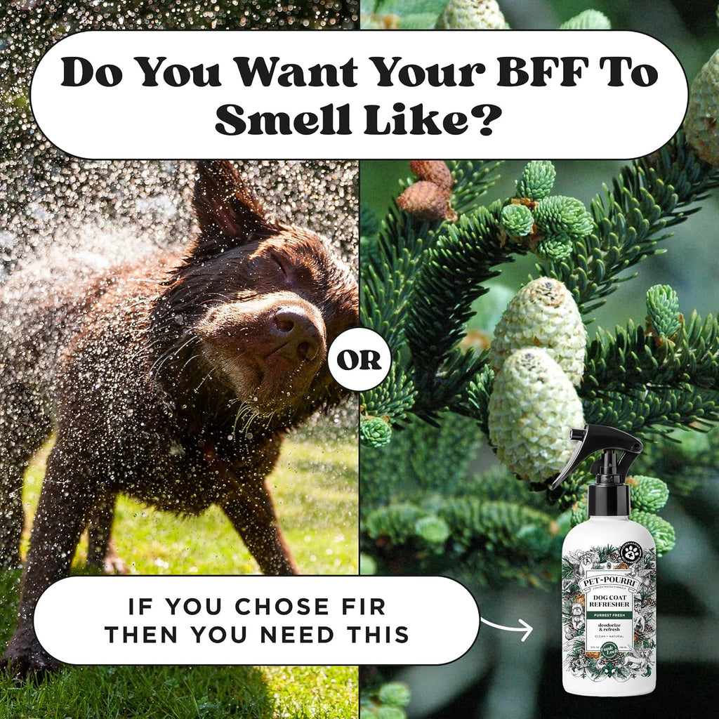 Poo-Pourri Furrest Fresh Dog Deodorizing Spray, 8 Fl Oz Grooming Perfume for Dog Coat, Pet Odor Neutralizer with Essential Oils, Vet Recommended, Paraben & Sulfate-Free Fir, Amber, & Cedarwood Scent - Image 9