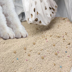 Clumping cat litter sifting through ninety-six filtration holes in white liner