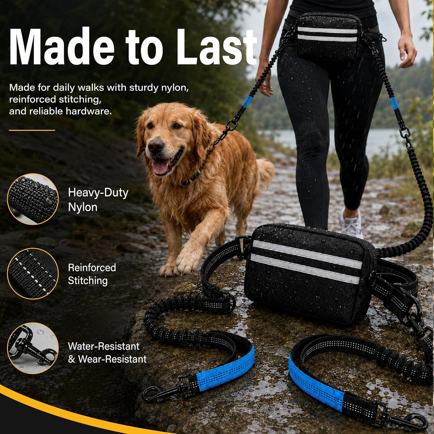 Two medium dogs walking securely on a dual bungee leash system attached to a waist belt.