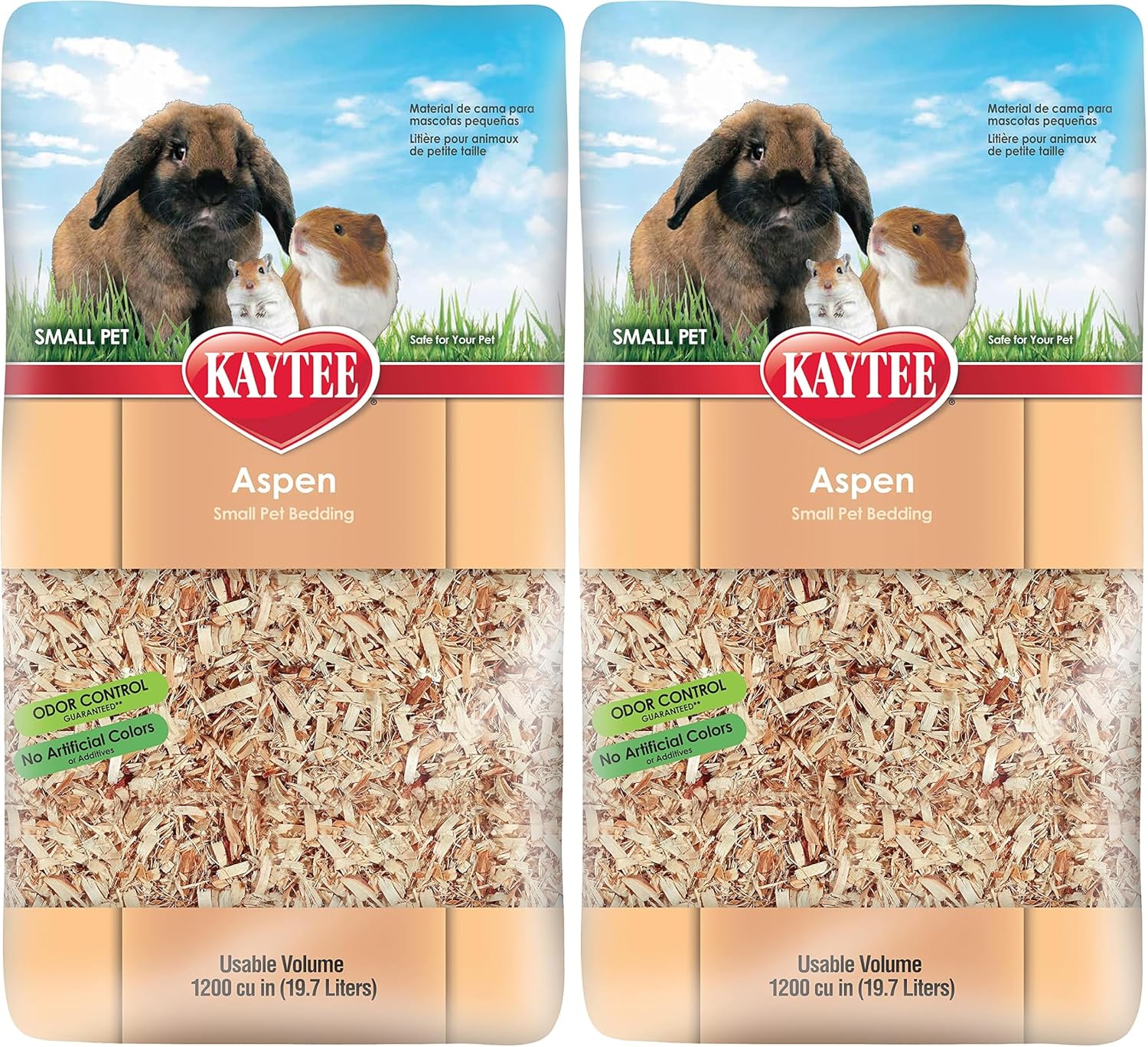 Guinea pig standing on soft Kaytee aspen bedding