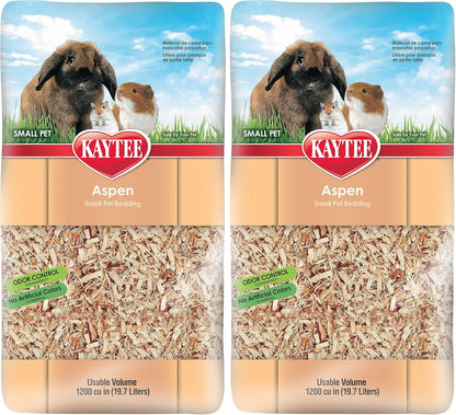 Guinea pig standing on soft Kaytee aspen bedding