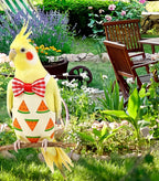 Magnoloran cockatiel diaper waterproof lining