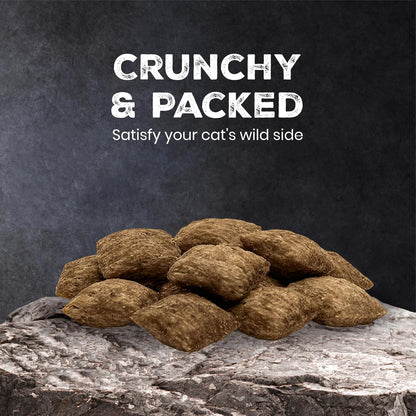 Blue Buffalo oven baked crunchy cat snacks for training and rewards