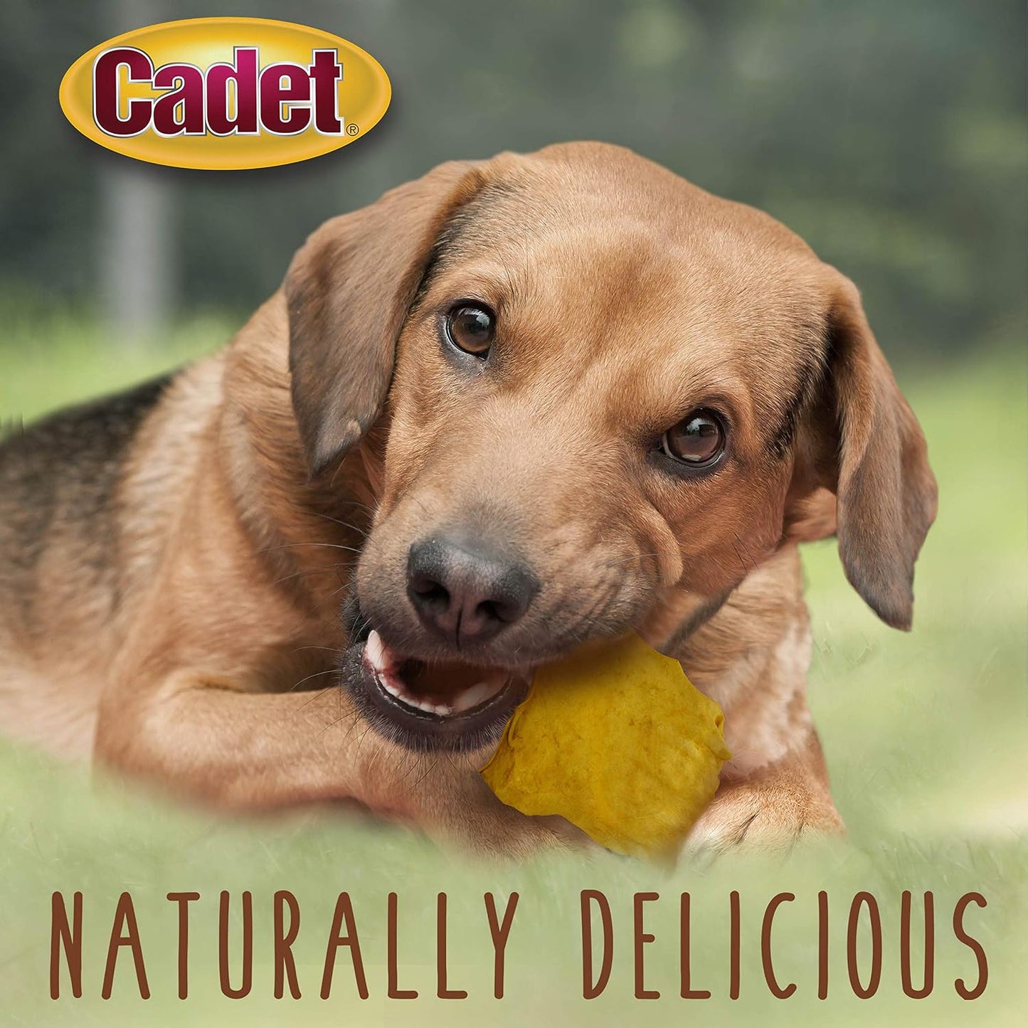 Imported Cadet single ingredient dog treats back label