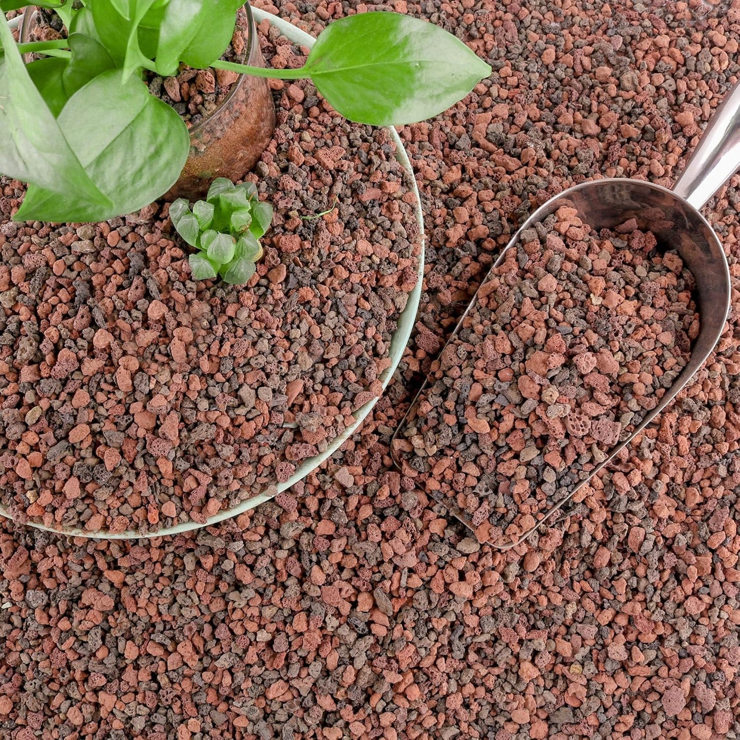 Cjgq 18 Pound Mix Lava Rocks product front view