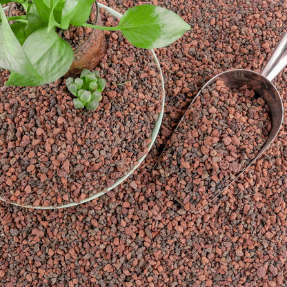 Cjgq 18 Pound Mix Lava Rocks product front view
