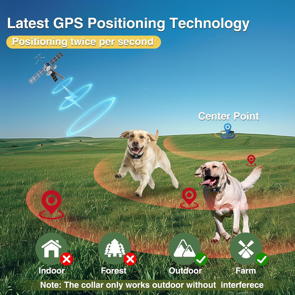 Large dog wearing an electric boundary training collar in an open outdoor yard.