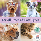 Bobbi Panter soothing dog shampoo lifestyle shot with a clean dog
