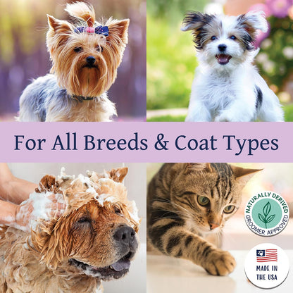 Group shot of Bobbi Panter pet grooming products for sensitive skin