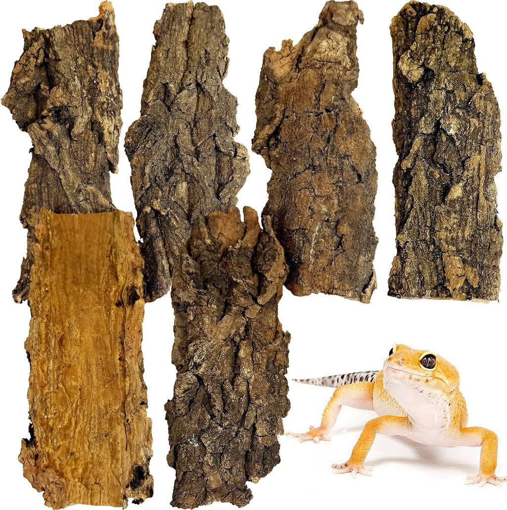 VCEPJH Cork Bark for Reptiles, 4 Pcs Natural Cork Flats for Terrarium Cork Wood Pieces for Snakes Spiders Bearded Dragons Hermit Crabs Geckos Isopod - Image 9