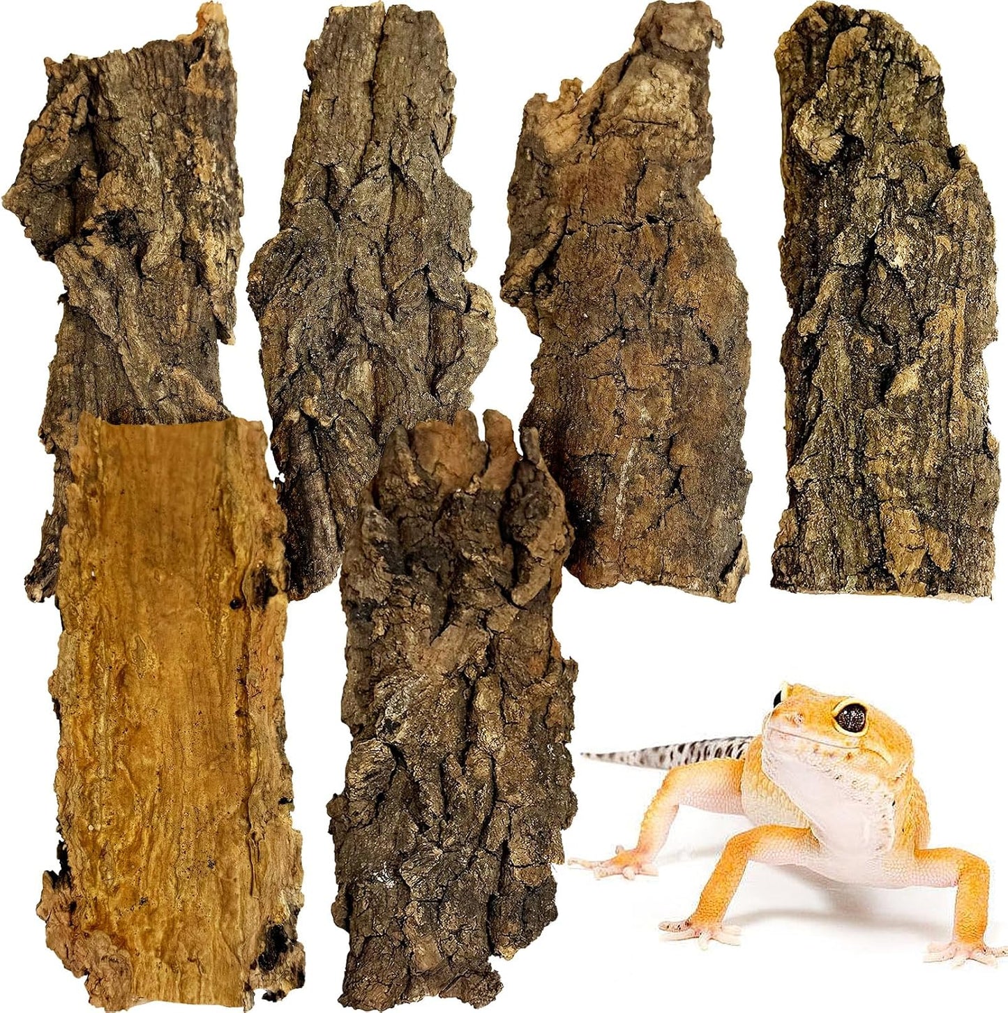 VCEPJH Cork Bark for Reptiles, 4 Pcs Natural Cork Flats for Terrarium Cork Wood Pieces for Snakes Spiders Bearded Dragons Hermit Crabs Geckos Isopod - Image 9
