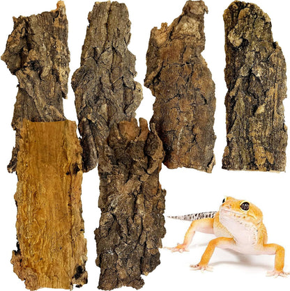 VCEPJH Cork Bark for Reptiles, 4 Pcs Natural Cork Flats for Terrarium Cork Wood Pieces for Snakes Spiders Bearded Dragons Hermit Crabs Geckos Isopod - Image 9
