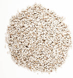 Wagner's 57075 Safflower Seed Wild Bird Food, 5 Pound (Pack of 1) - Image 3