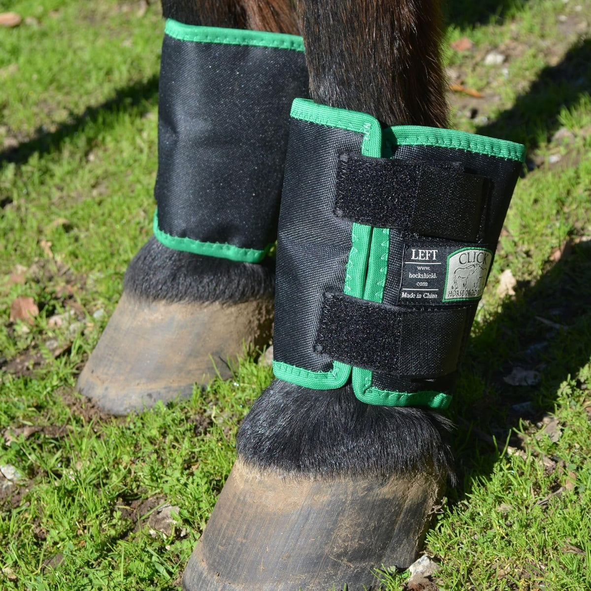 Intrepid International equine lower leg protective gear packaging presentation view