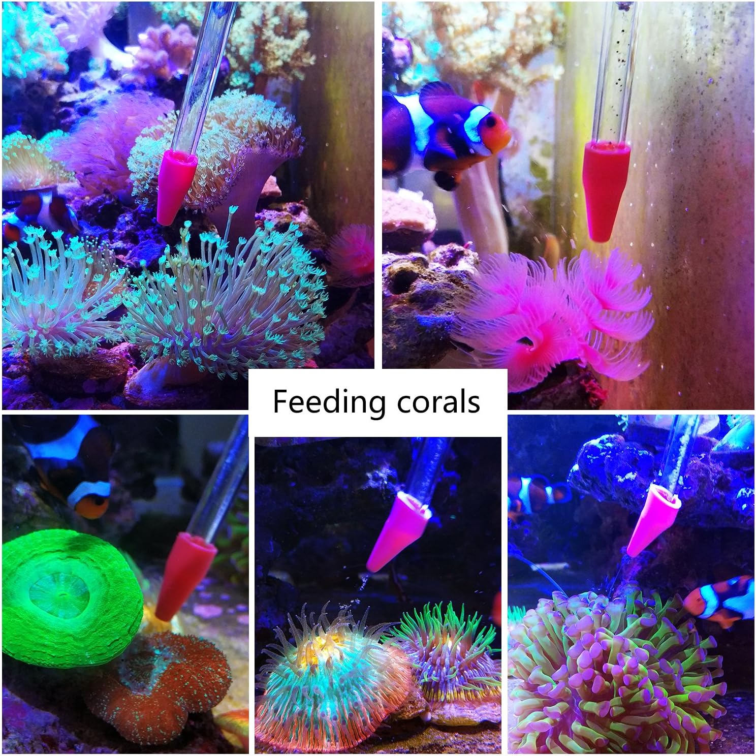 Aquarium Choice long syringe tube being used for spot cleaning and waste removal in a tank.