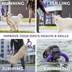 Dog agility jumping tool for large and medium breeds