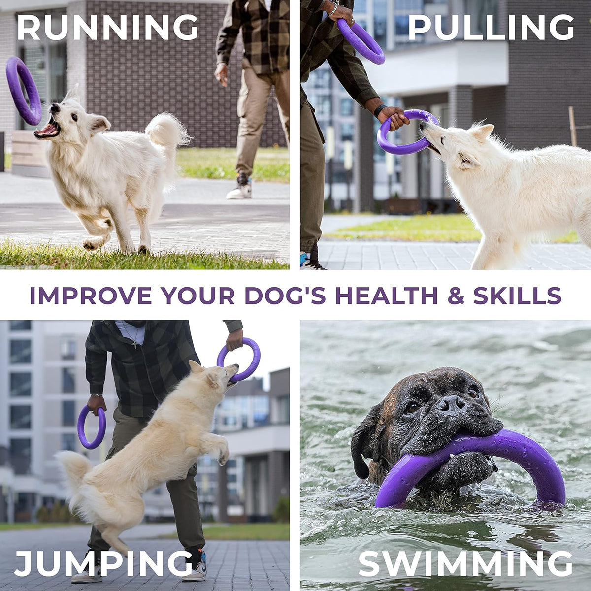 Dog agility jumping tool for large and medium breeds