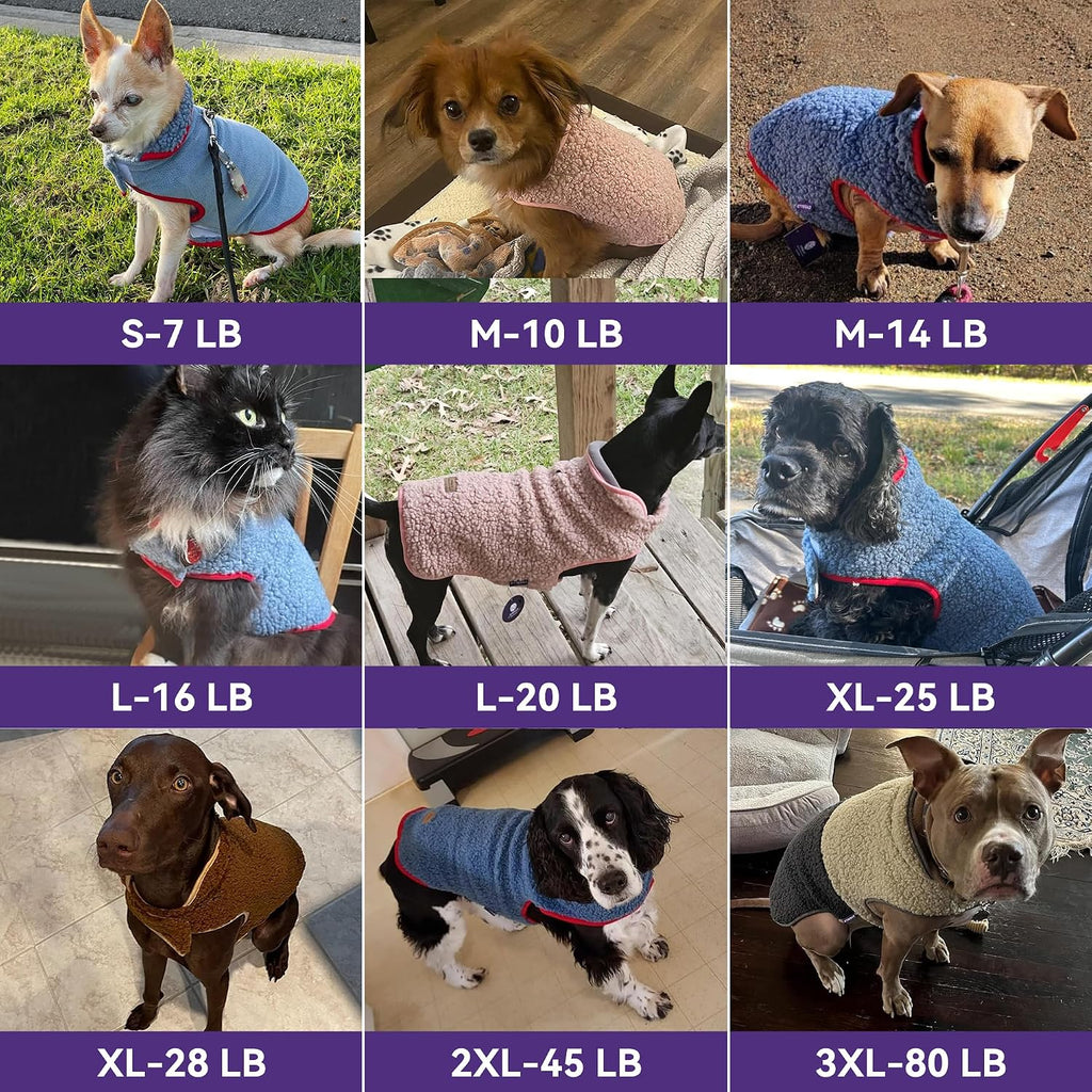 Back view of Cyeollo warm dog coat for large breeds
