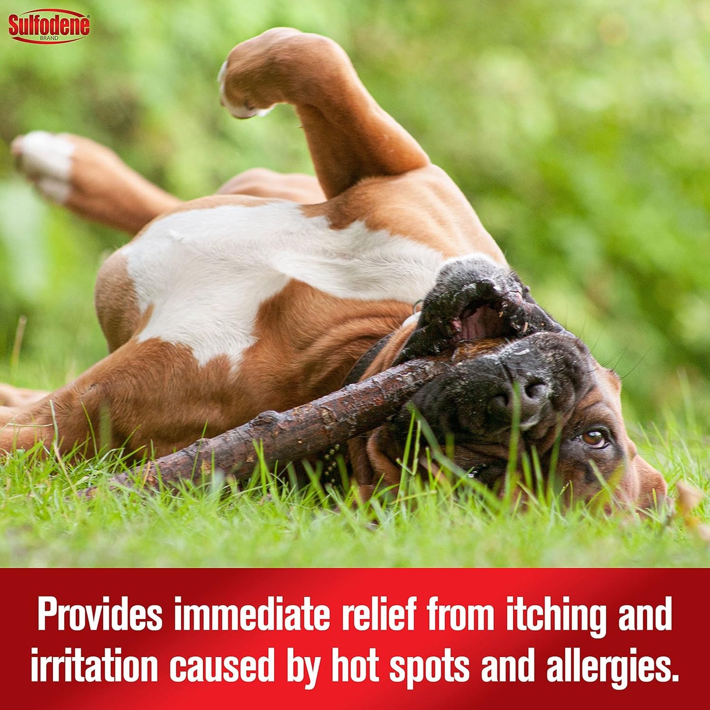 Sulfodene dog hot spot topical treatment authentic USA import packaging