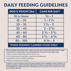 Authentic Natural Balance imported pet food for healthy skin and digestion
