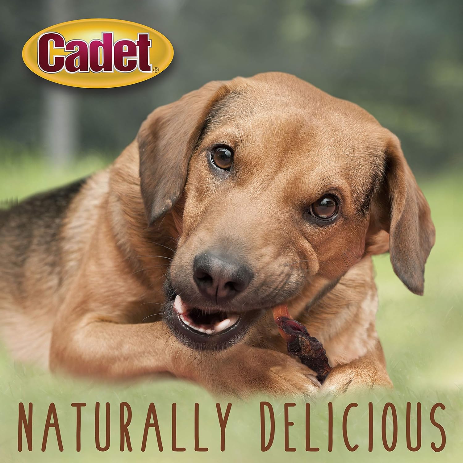 Back of Cadet dog treat packaging with ingredient list details