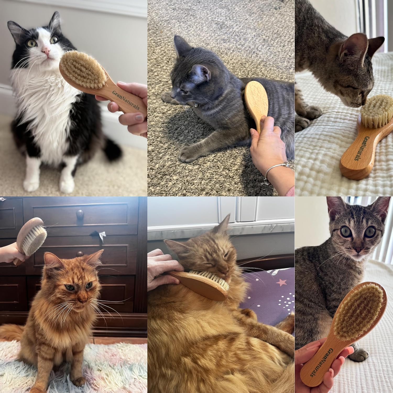 GranNaturals Boar Bristle Soft Cat Brush for Indoor, Outdoor, Short Haired Cats, Kittens, Small Dog, Rabbit, Furry Pets - Gentle Grooming on Sensitive Hair Coat & Tail with Durable Wooden Handle - Image 9