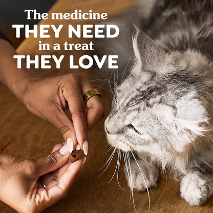 Comparison of Greenies Pill Pocket size with standard cat medication