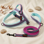 Didog brand logo and product packaging for dog harness