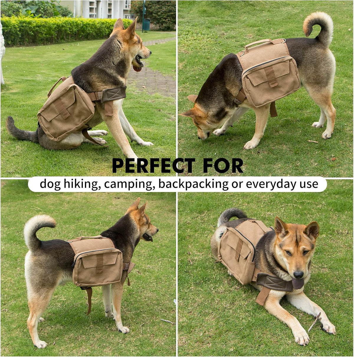 Horse large khaki pet backpack packed with travel accessories