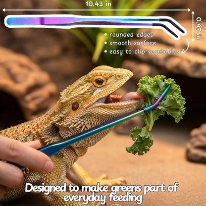 Complete Homedy Crafts reptile accessories kit layout including the green foraging ball hanging chain and tongs