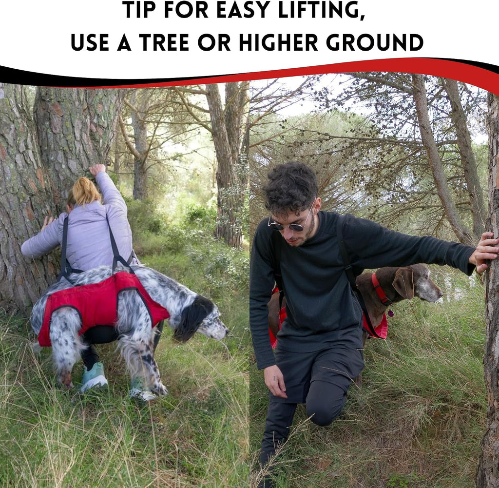 Fido Pro Airlift Ultra-Lite Dog Sling | Ultra-lite Sling Fit in Your Pocket & Bag | The solution for injury prevention and to assist Injured dogs | For Travel and Outdoor Adventures | Large(35-60 lbs) - Image 9